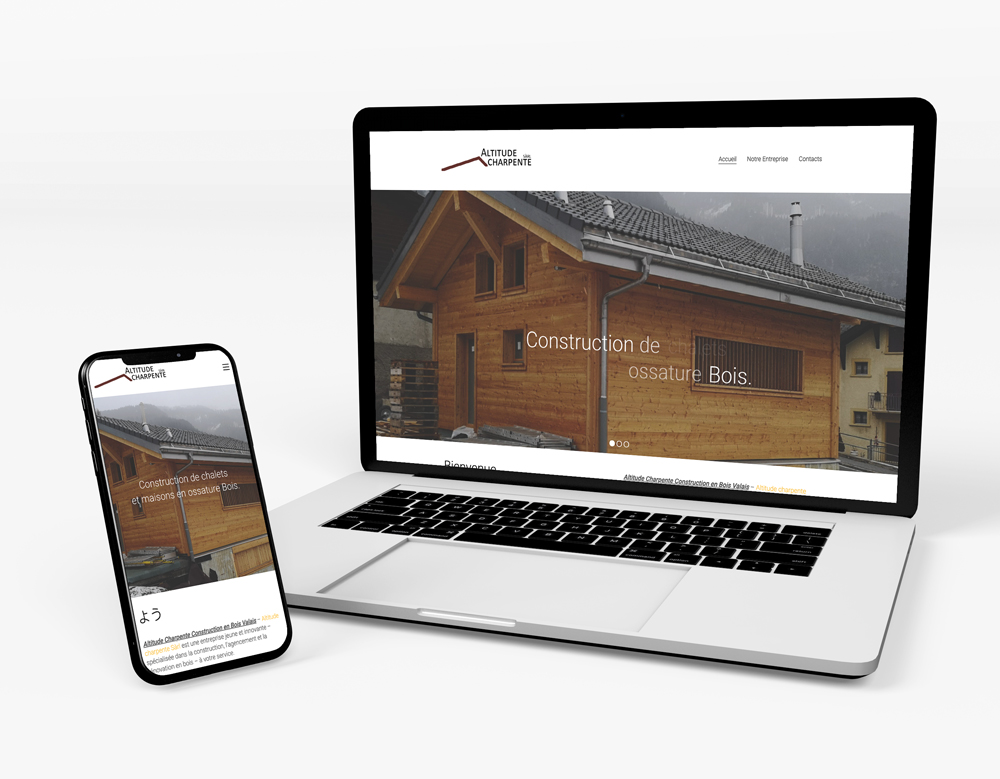 Our Work Websites in Switzerland 